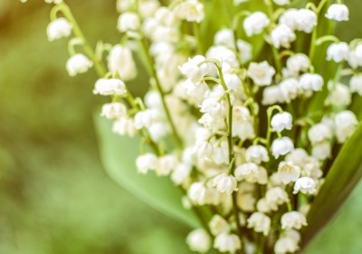 食べやすい献立で「食べる」をサポートします！