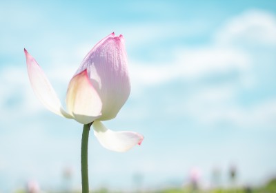 ライフクリエイト〜ありのままの自分を生きよう〜